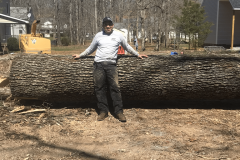Lynchburg-VA-tree-cutting