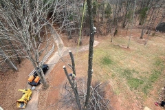 Lynchburg-VA-tree-service
