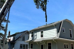Lynchburg-tree-removal