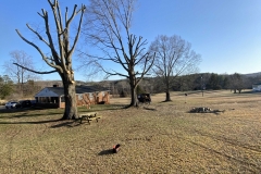 tree-cutting-Lynchburg